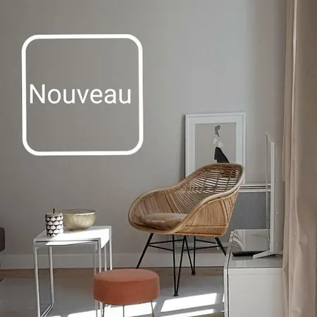 Le Voltaire Centre Apartment Colmar